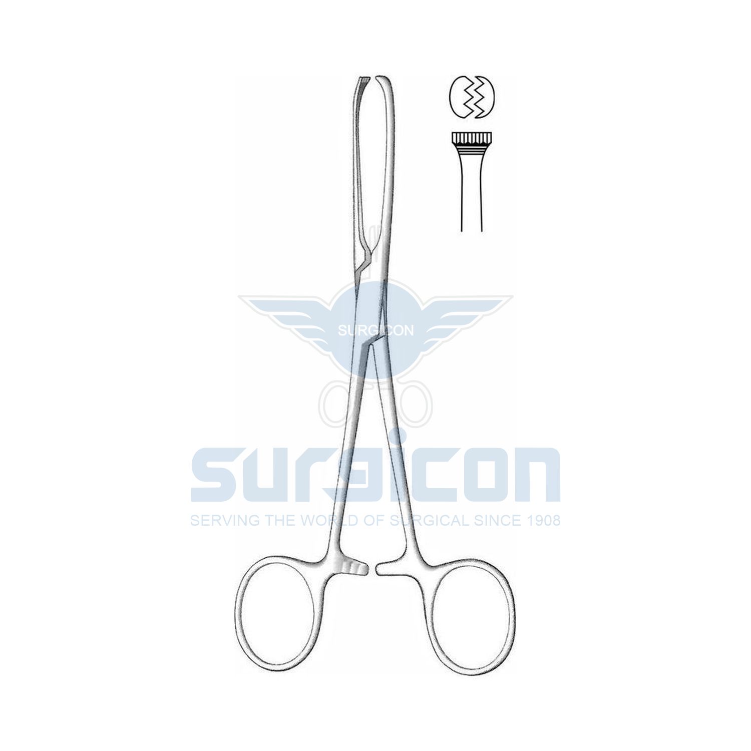 Allis-Babcock-Tissue-and-Organ-Holding-Forcep-J-35-732