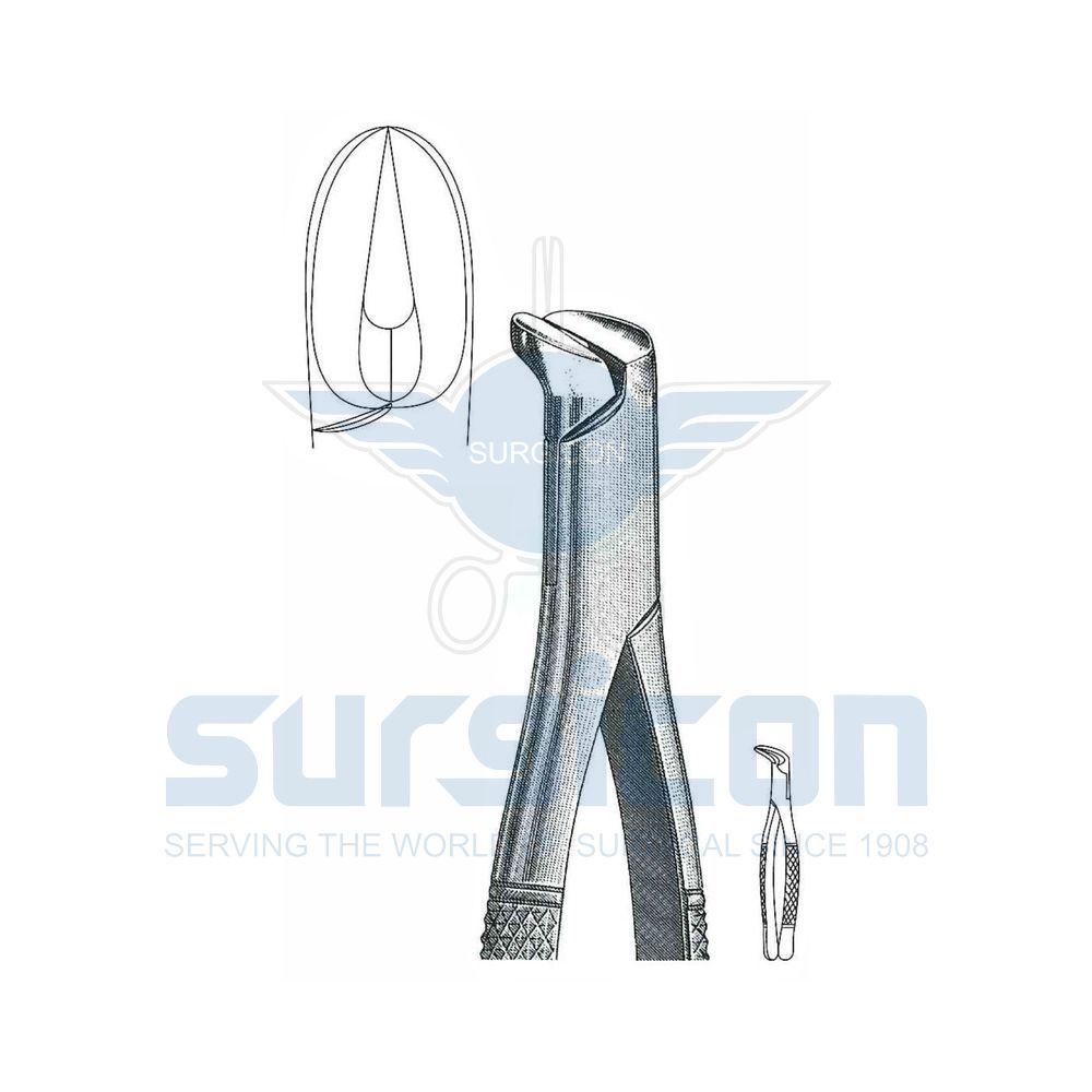 American-Pattern-Extraction-Forcep-SD-0558-06