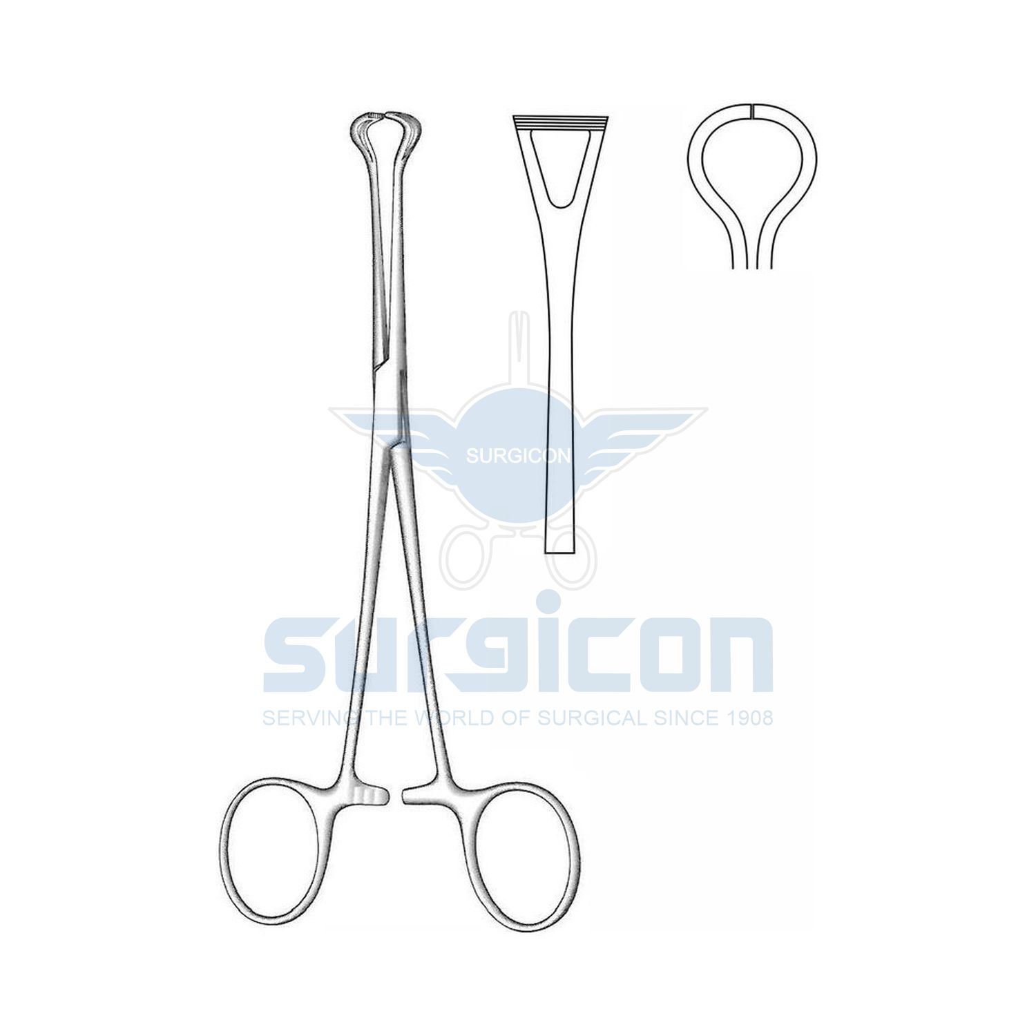 Babcock-Tissue-and-Organ-Holding-Forcep-J-35-810
