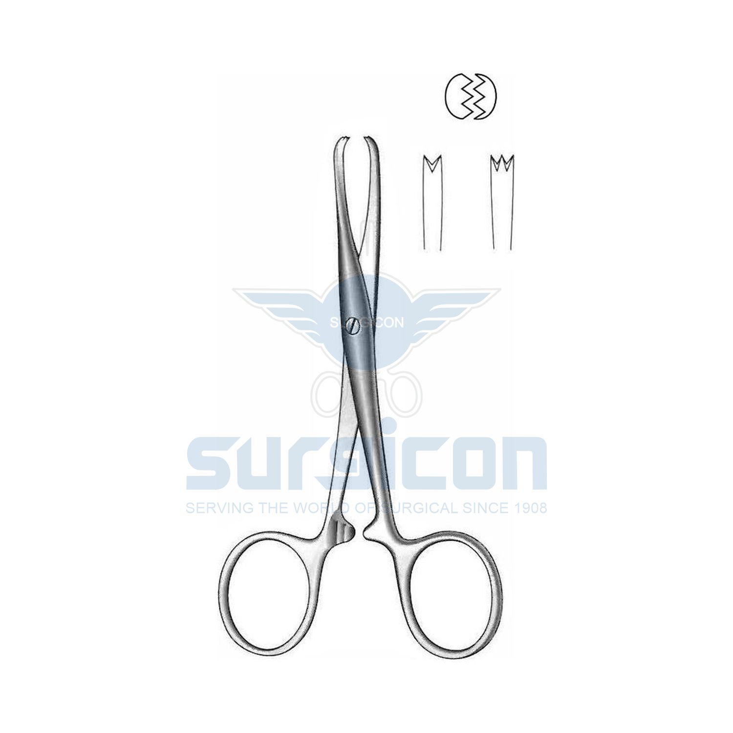 Chaput-Tissue-and-Organ-Holding-Forcep-J-17-166