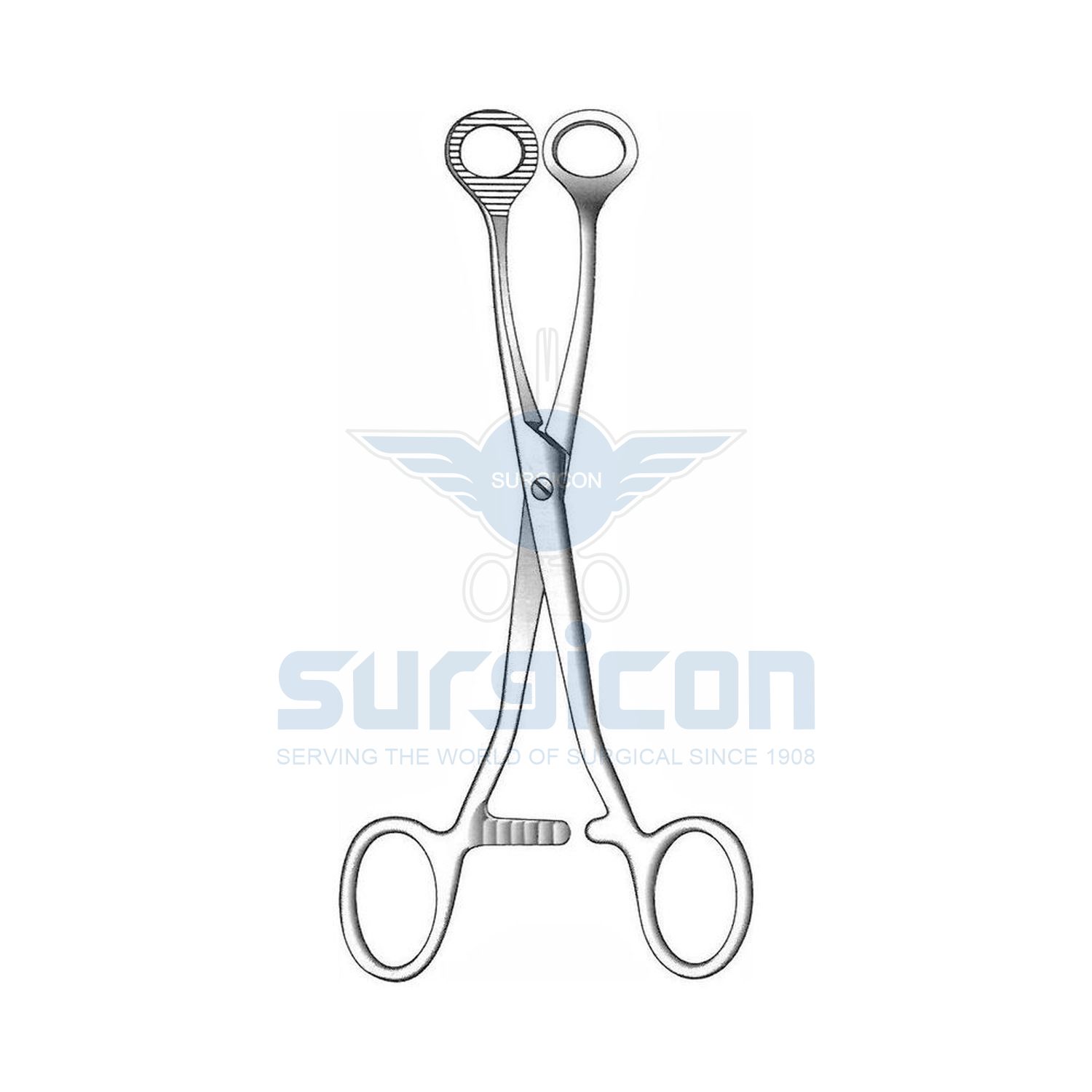 Collin-Tongue-Holding-Forcep-J-33-500