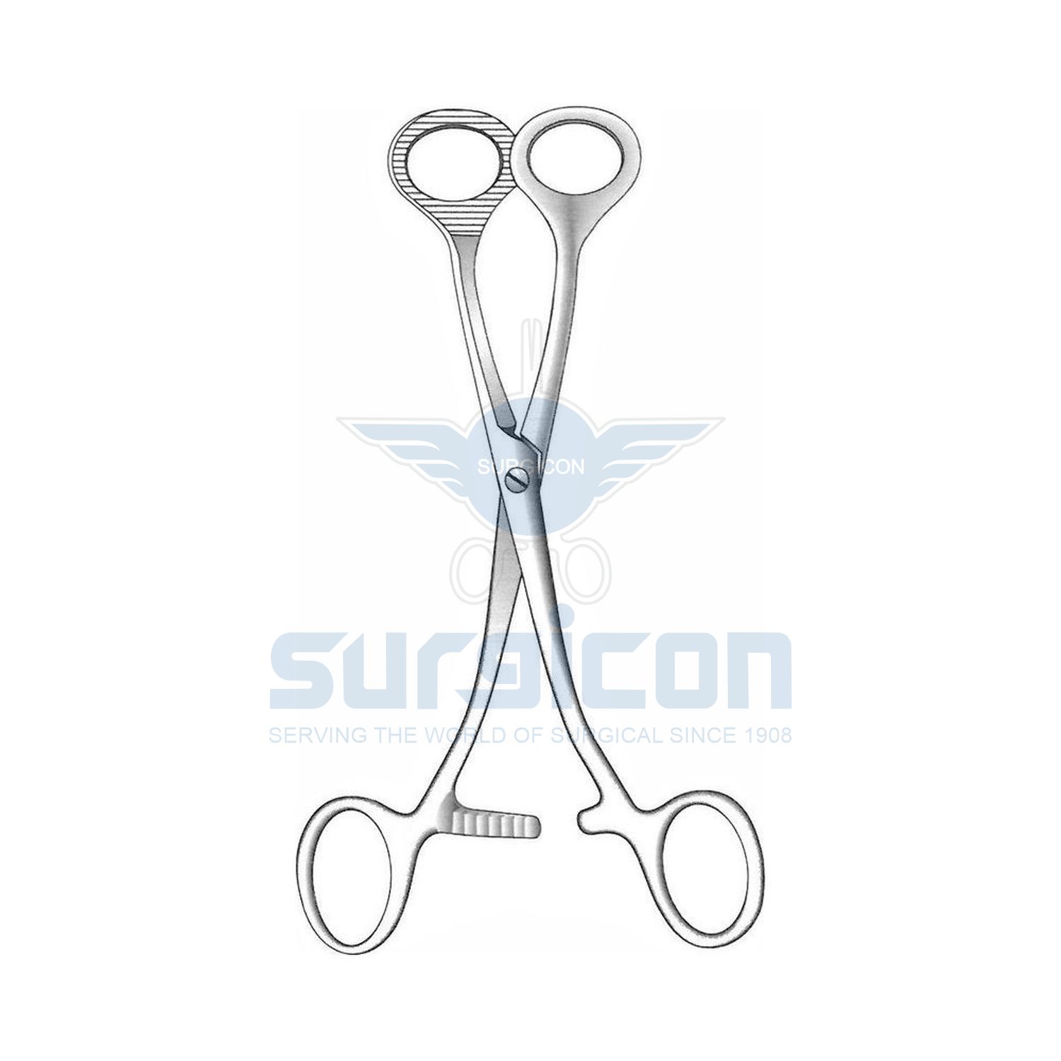 Collin-Tongue-Holding-Forcep-J-33-509