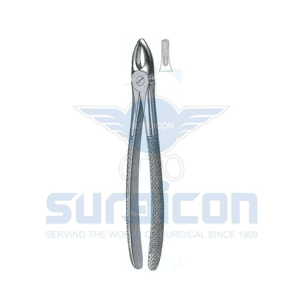 English-Pattern-Extraction-Forcep-SD-0200-01