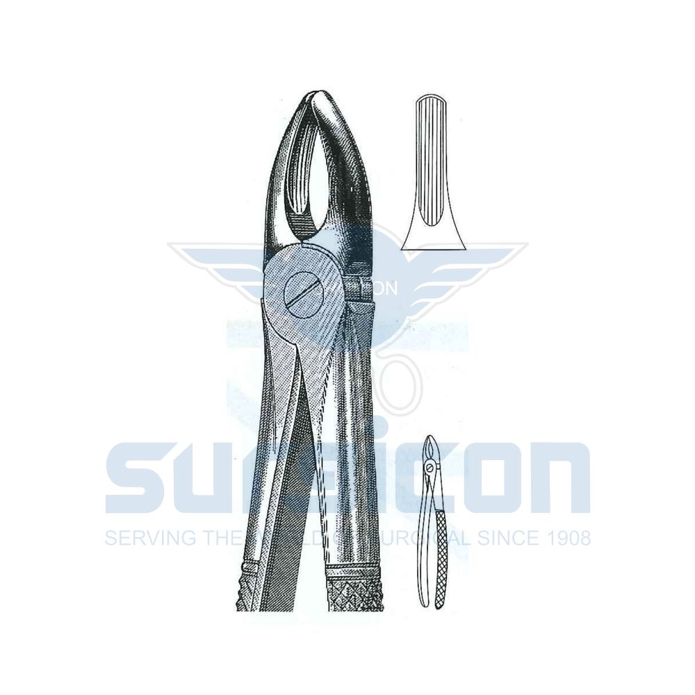 English-Pattern-Extraction-Forcep-SD-0201-02
