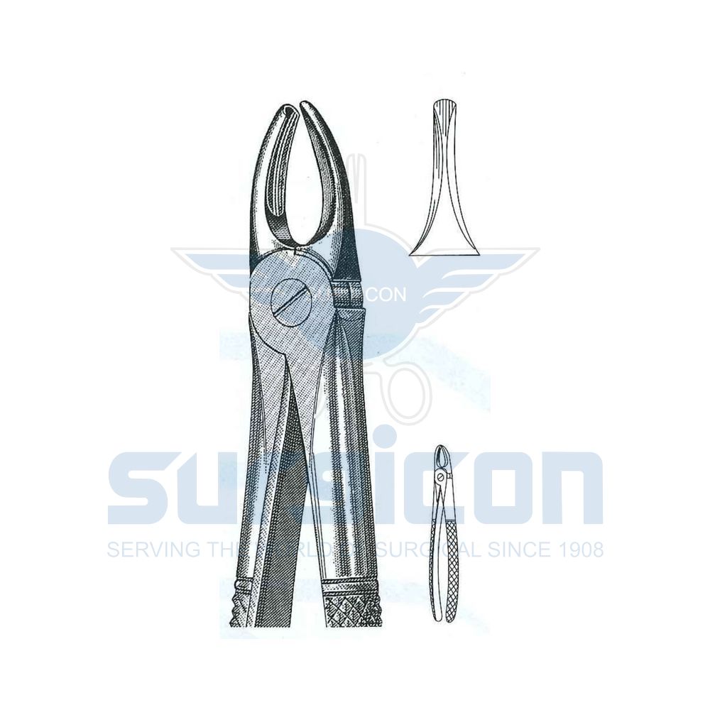 English-Pattern-Extraction-Forcep-SD-0202-03