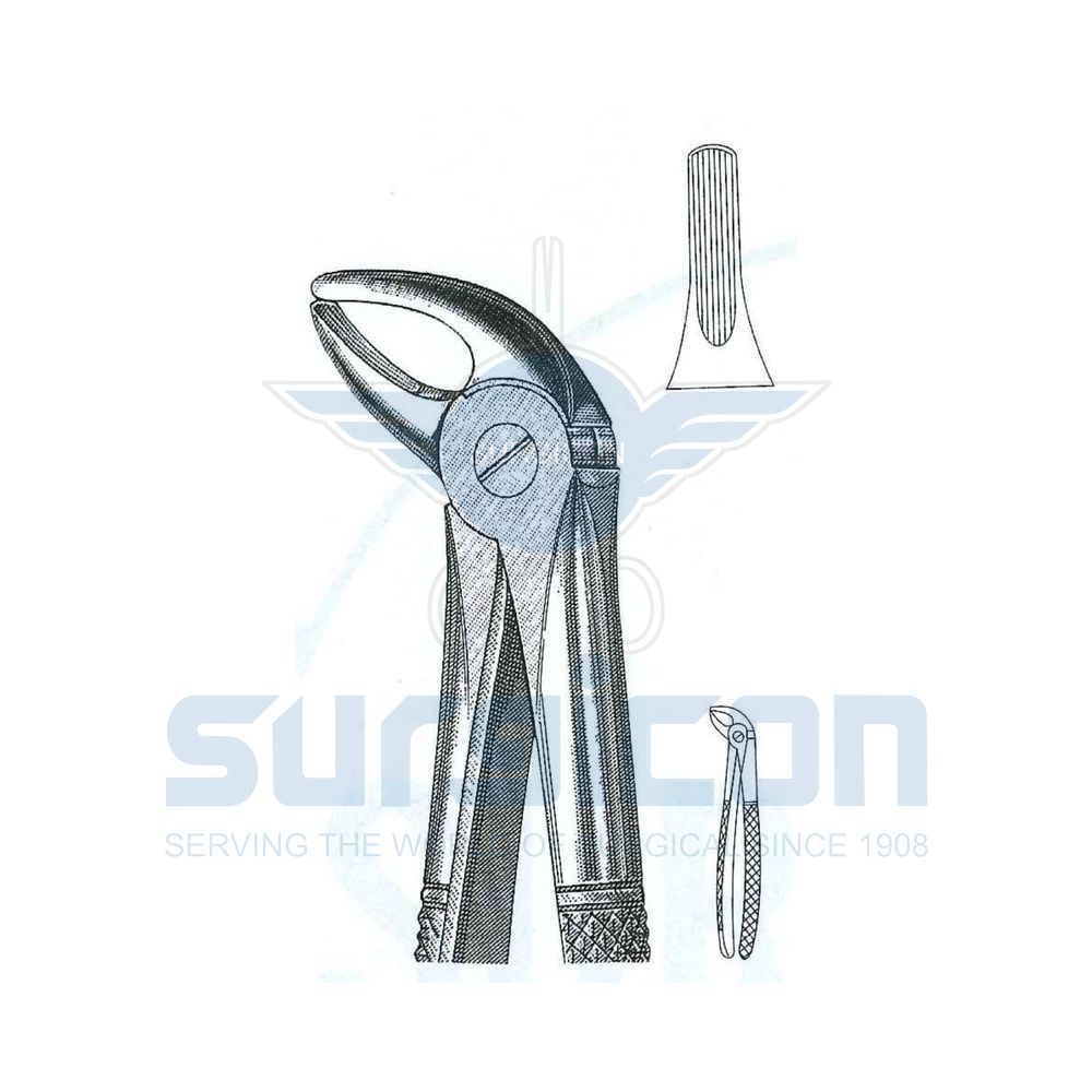 English-Pattern-Extraction-Forcep-SD-0203-04