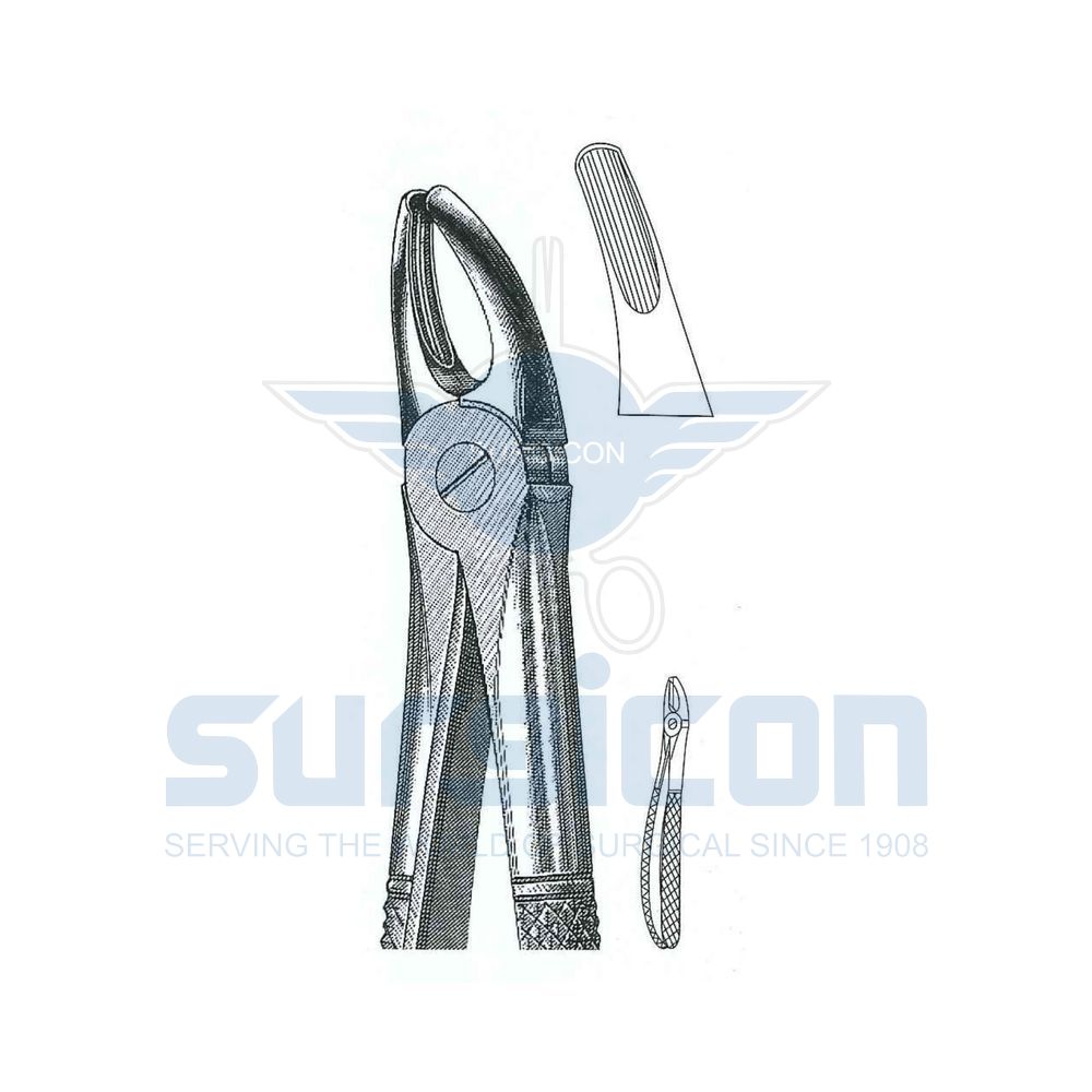 English-Pattern-Extraction-Forcep-SD-0204-07