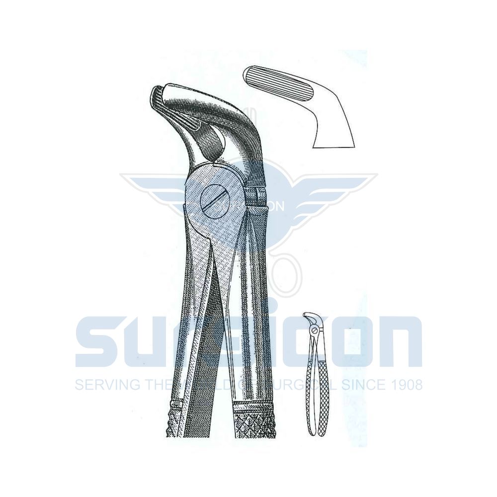 English-Pattern-Extraction-Forcep-SD-0205-08