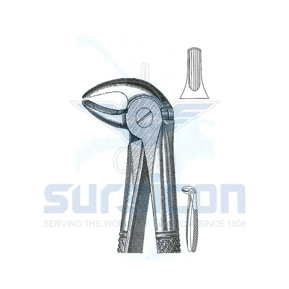 English-Pattern-Extraction-Forcep-SD-0206-13