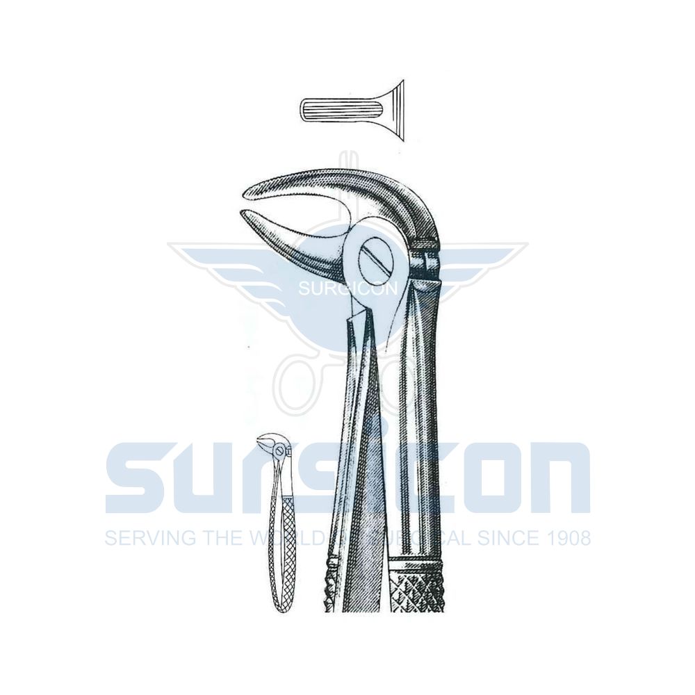 English-Pattern-Extraction-Forcep-SD-0207-13S