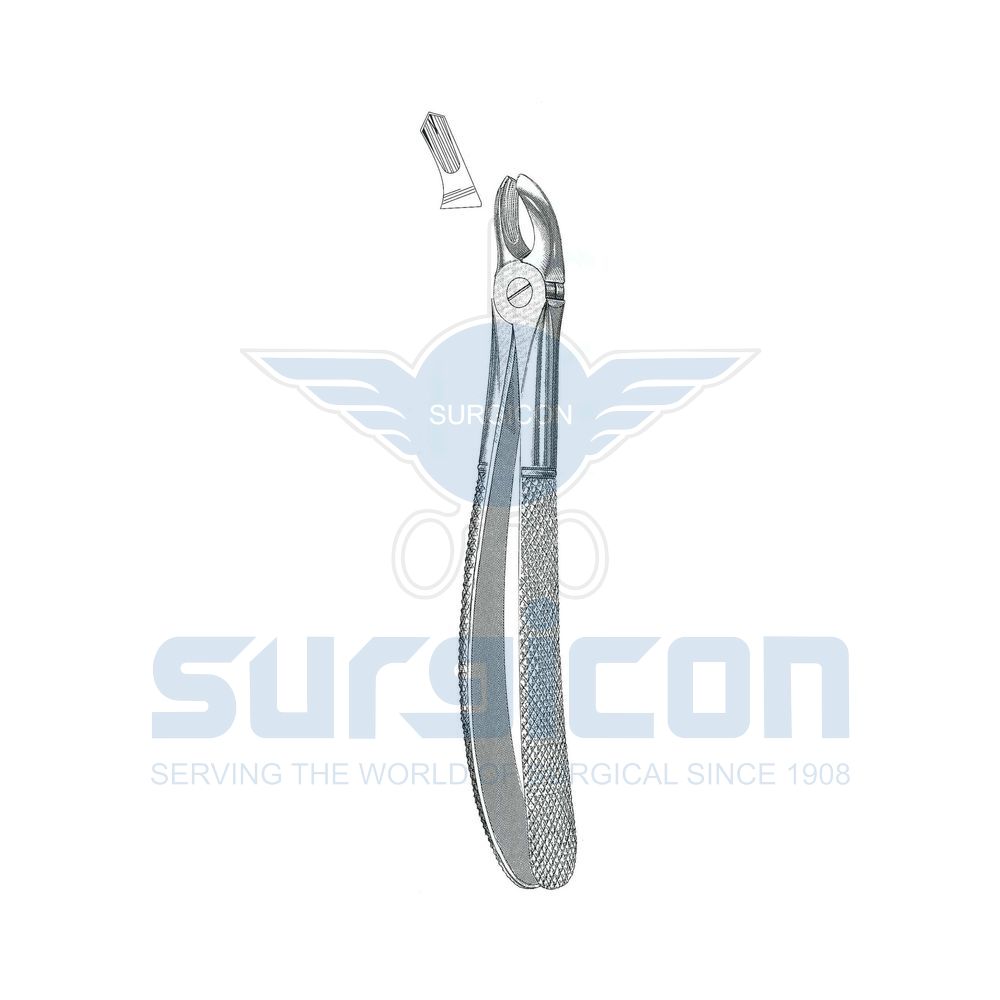 English-Pattern-Extraction-Forcep-SD-0208-17