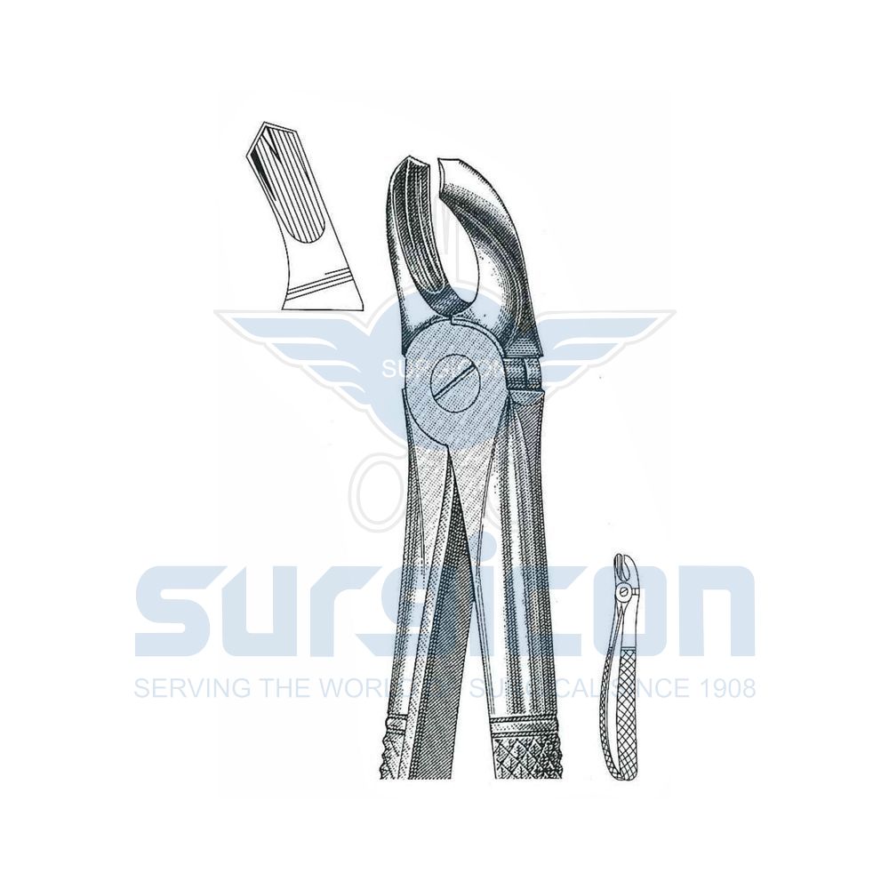 English-Pattern-Extraction-Forcep-SD-0210-18A