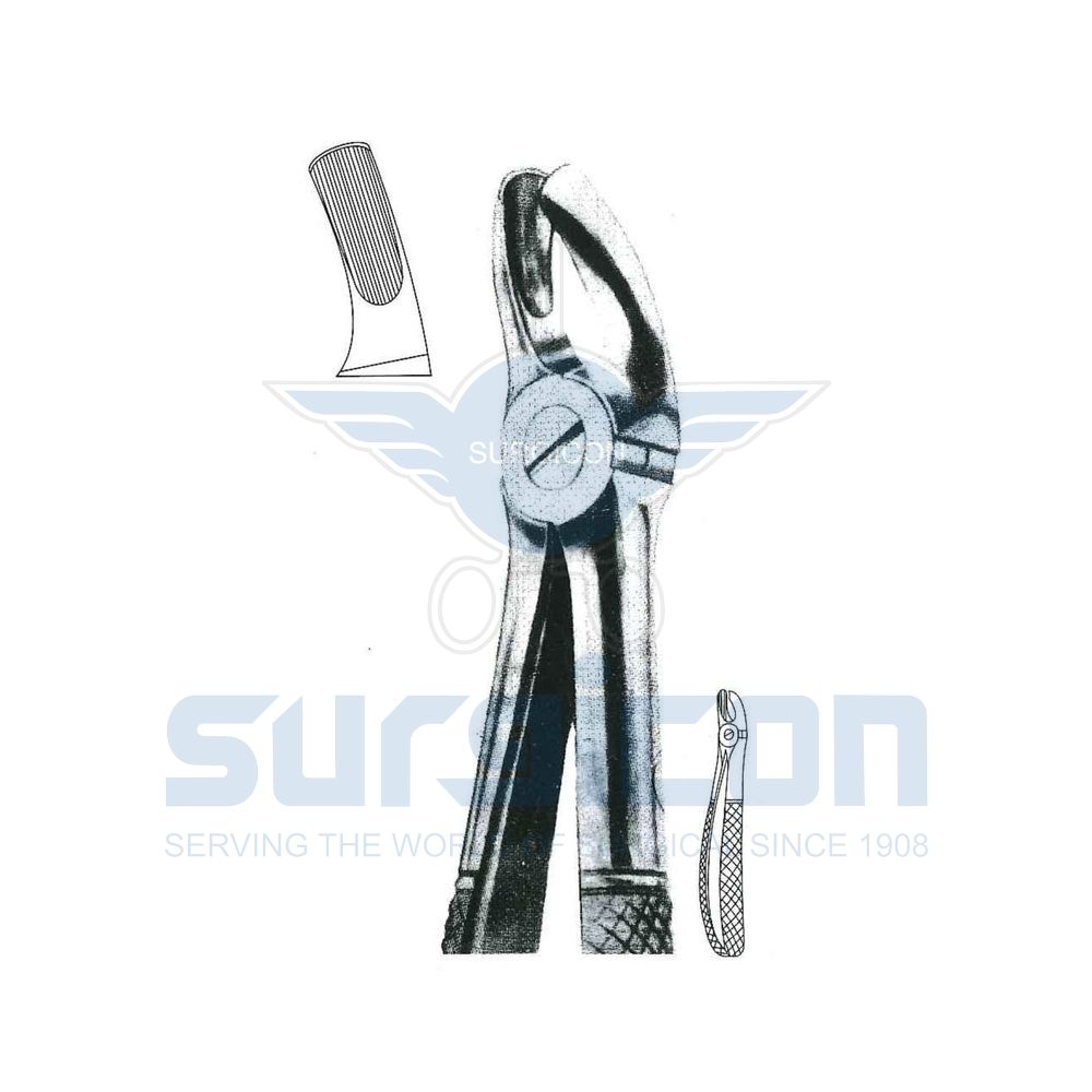 English-Pattern-Extraction-Forcep-SD-0211-18B
