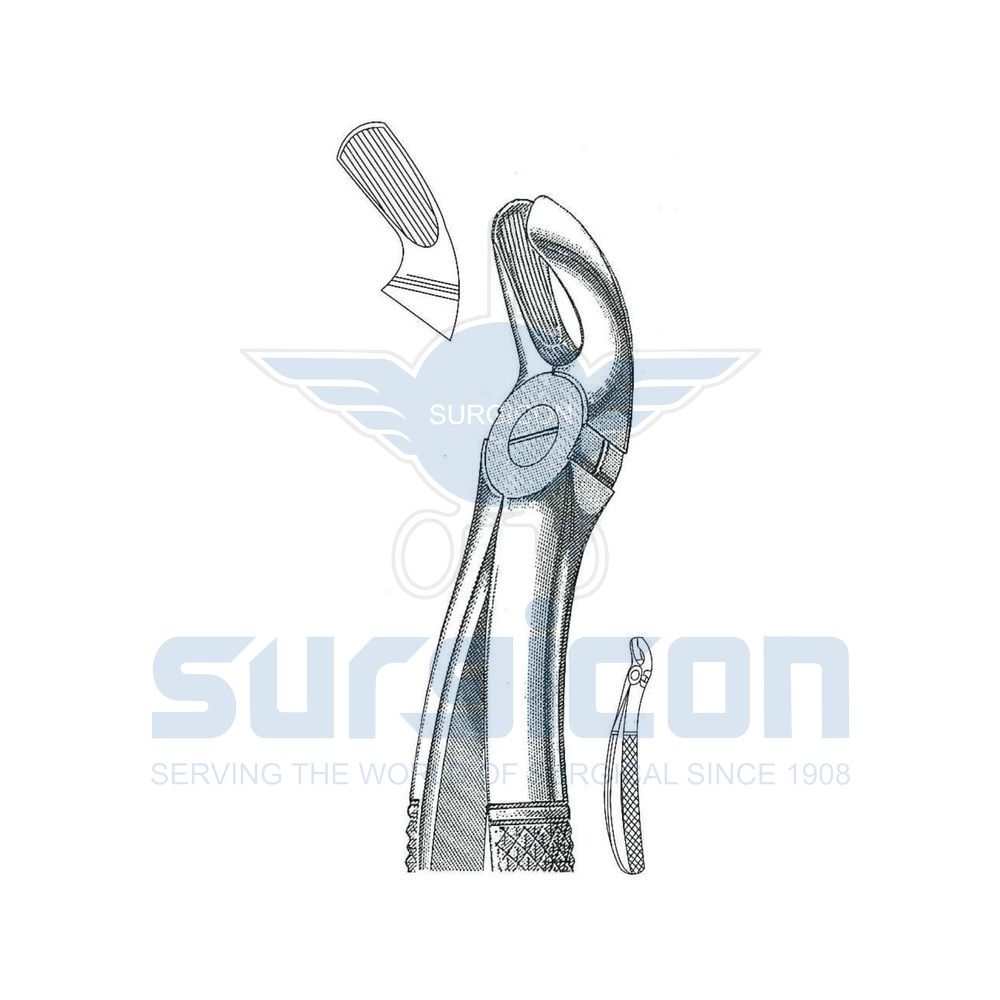 English-Pattern-Extraction-Forcep-SD-0212-19