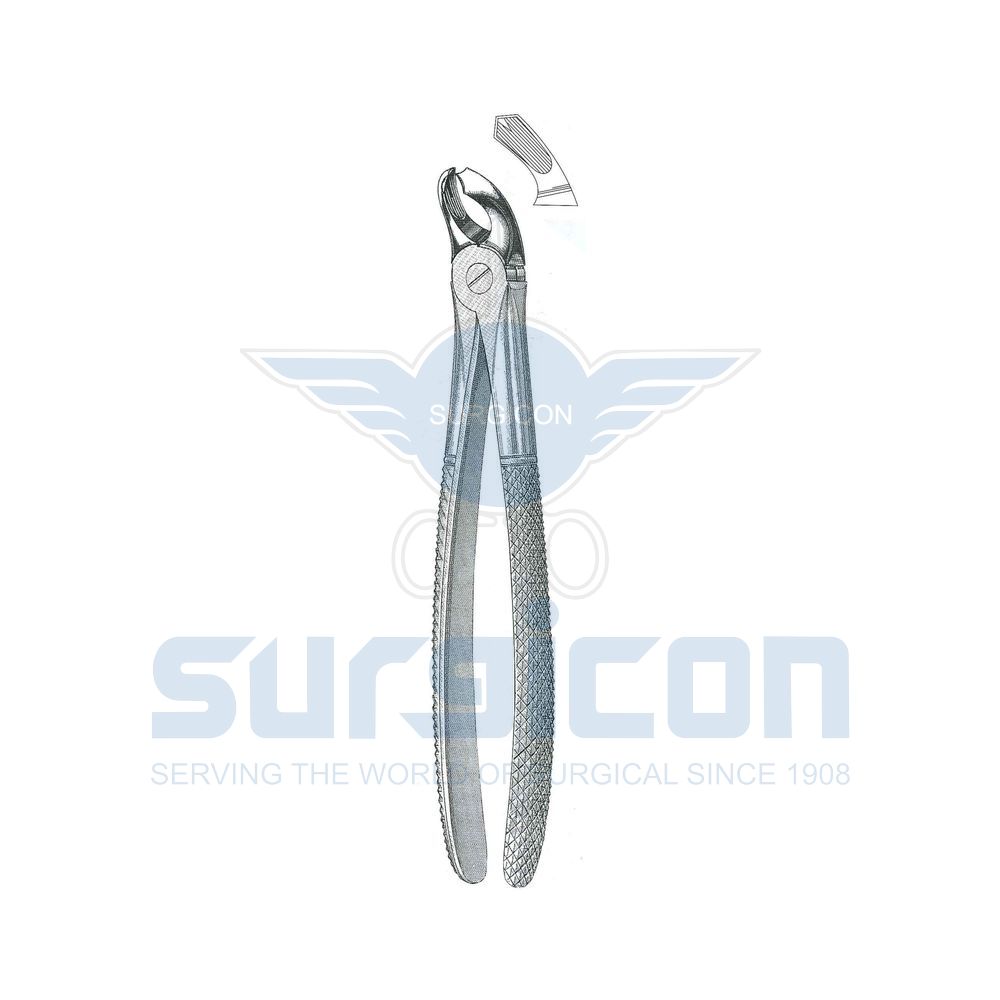 English-Pattern-Extraction-Forcep-SD-0213-20