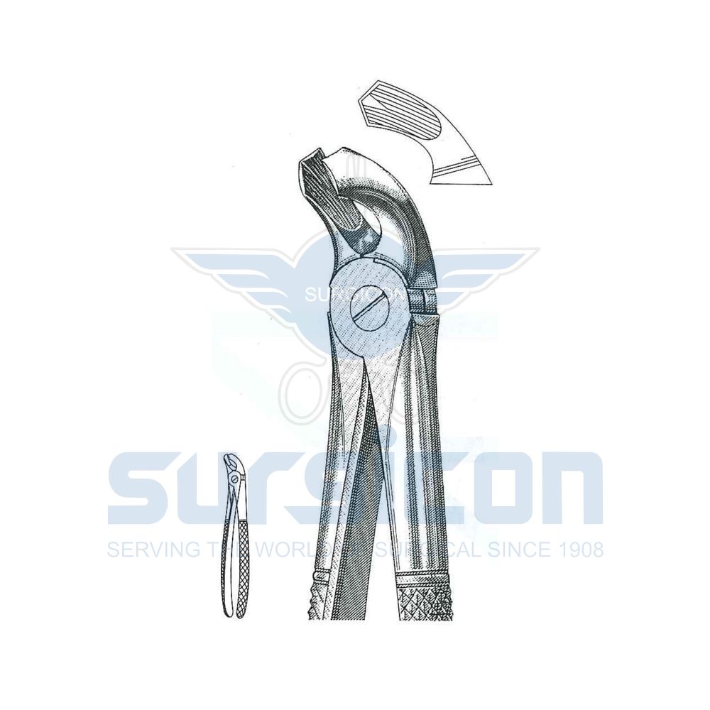 English-Pattern-Extraction-Forcep-SD-0214-21