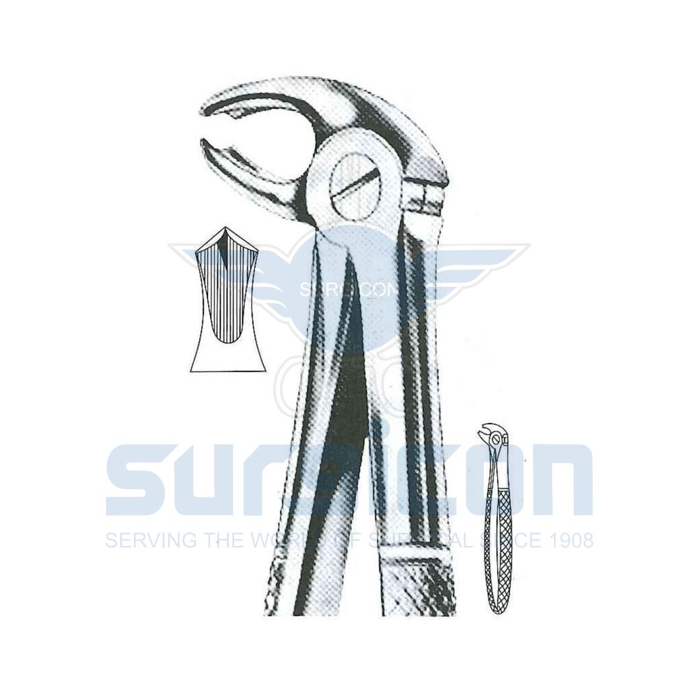 English-Pattern-Extraction-Forcep-SD-0216-22G