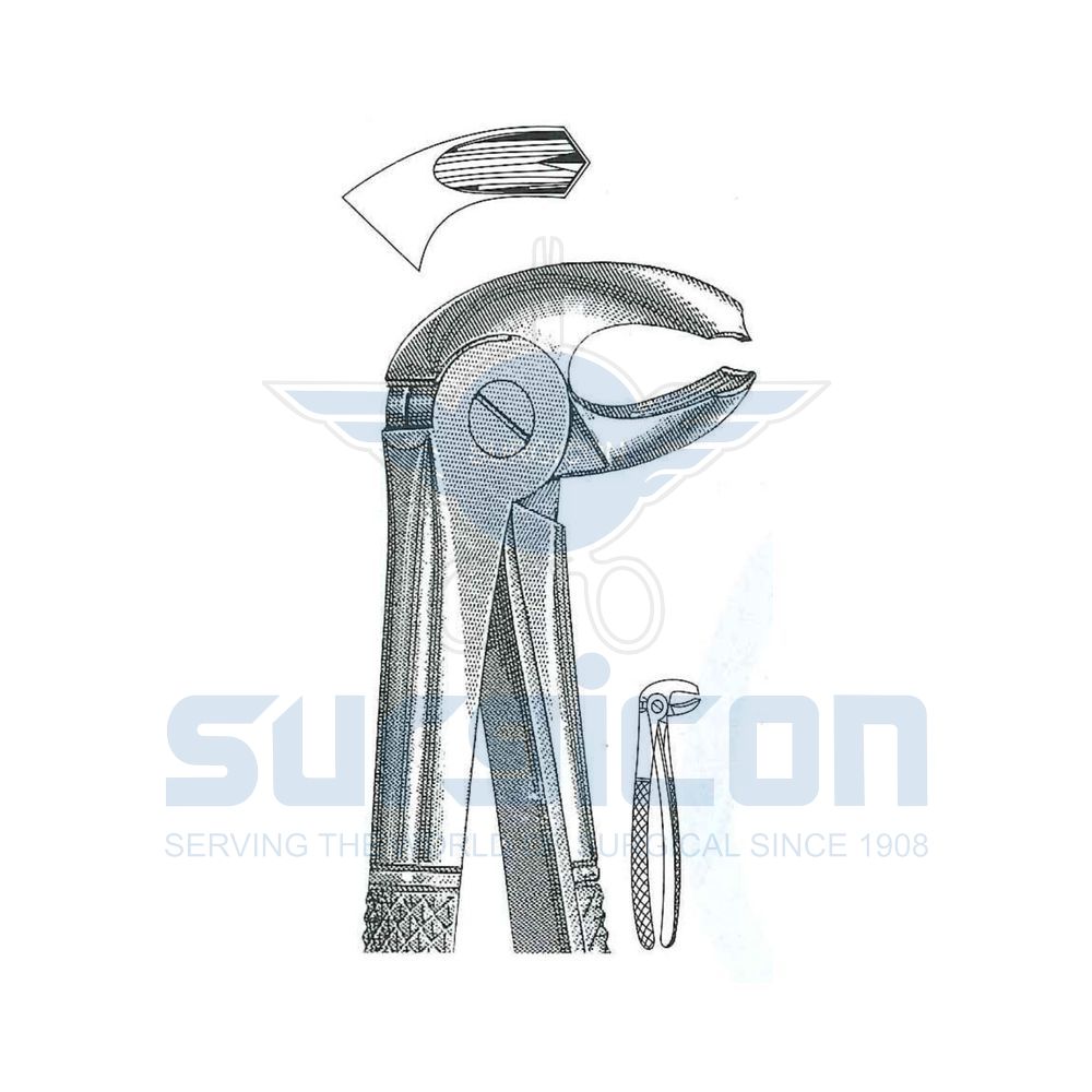 English-Pattern-Extraction-Forcep-SD-0218-23