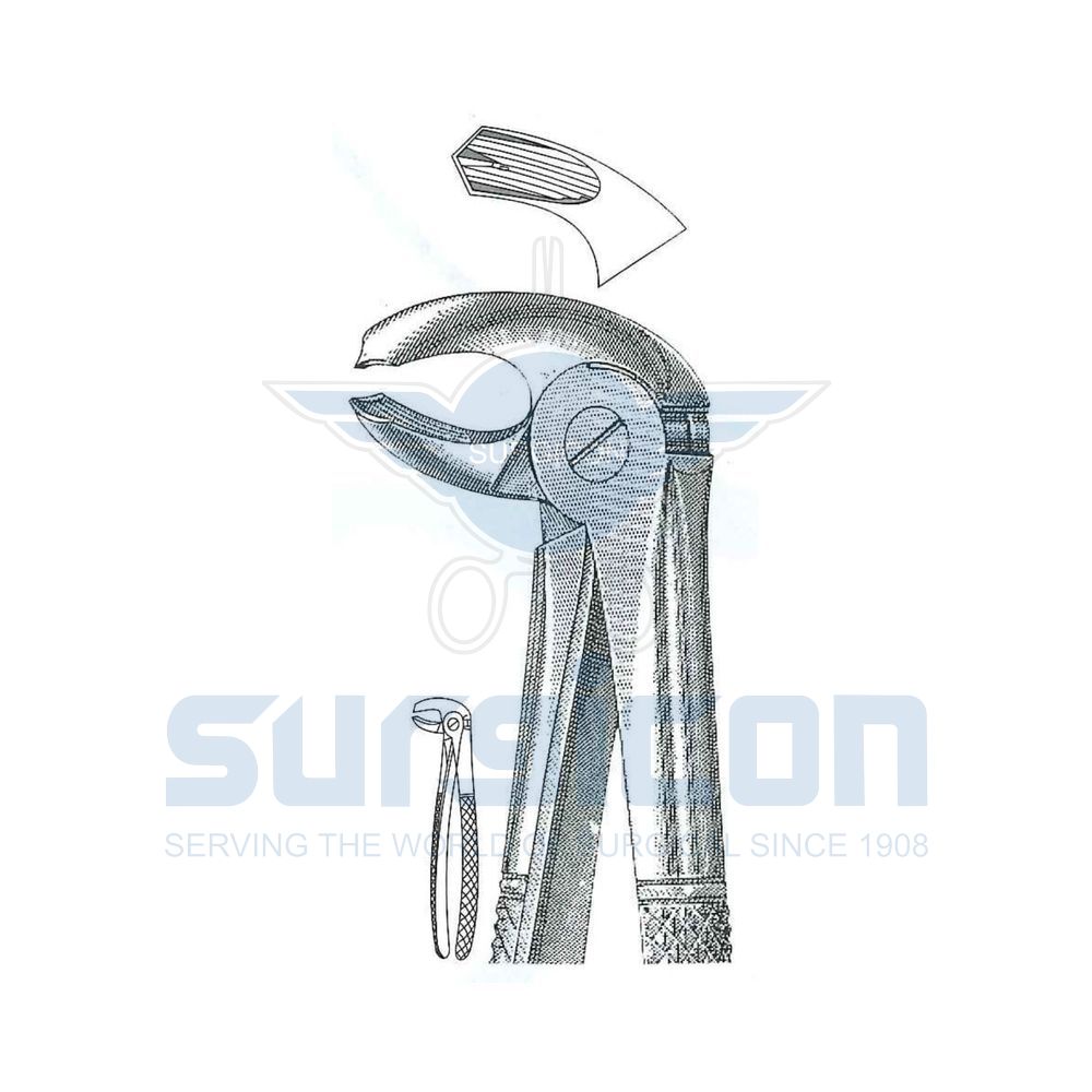 English-Pattern-Extraction-Forcep-SD-0219-24