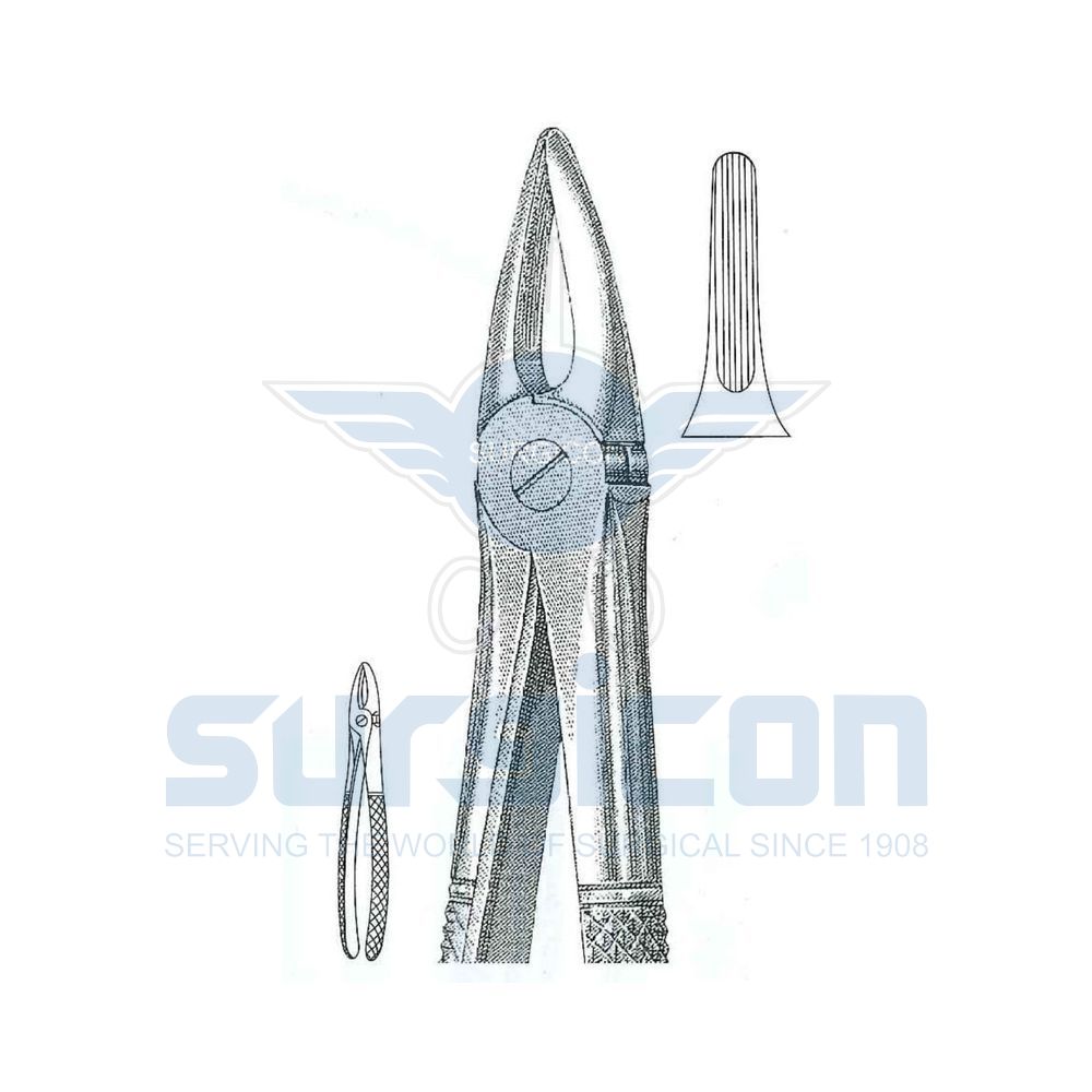 English-Pattern-Extraction-Forcep-SD-0220-29