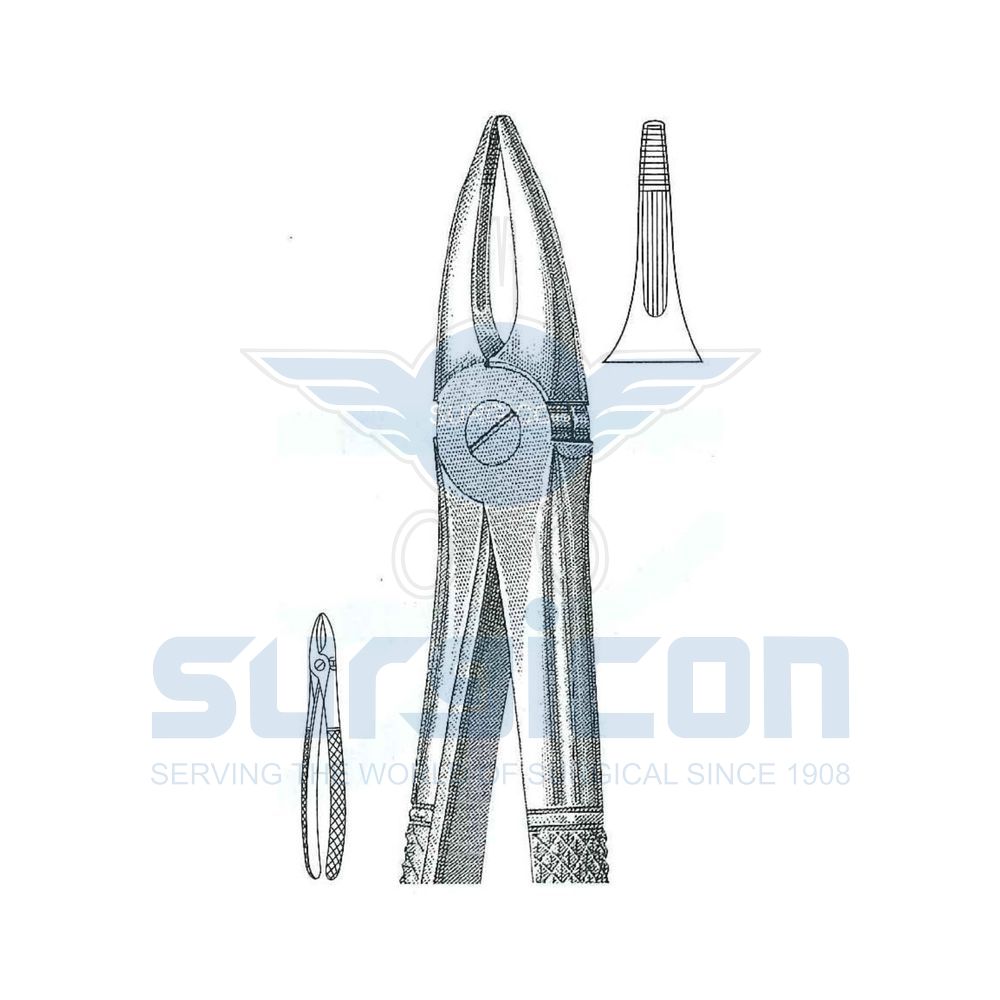 English-Pattern-Extraction-Forcep-SD-0221-29N