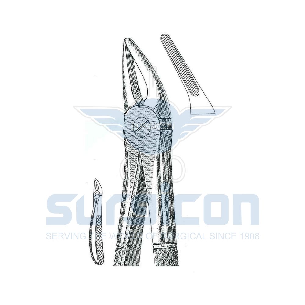 English-Pattern-Extraction-Forcep-SD-0223-30
