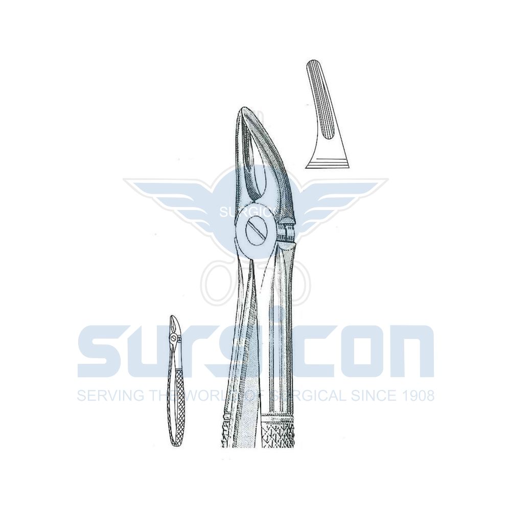 English-Pattern-Extraction-Forcep-SD-0224-30S