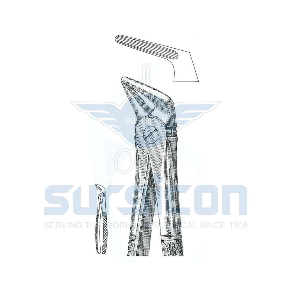 English-Pattern-Extraction-Forcep-SD-0225-31