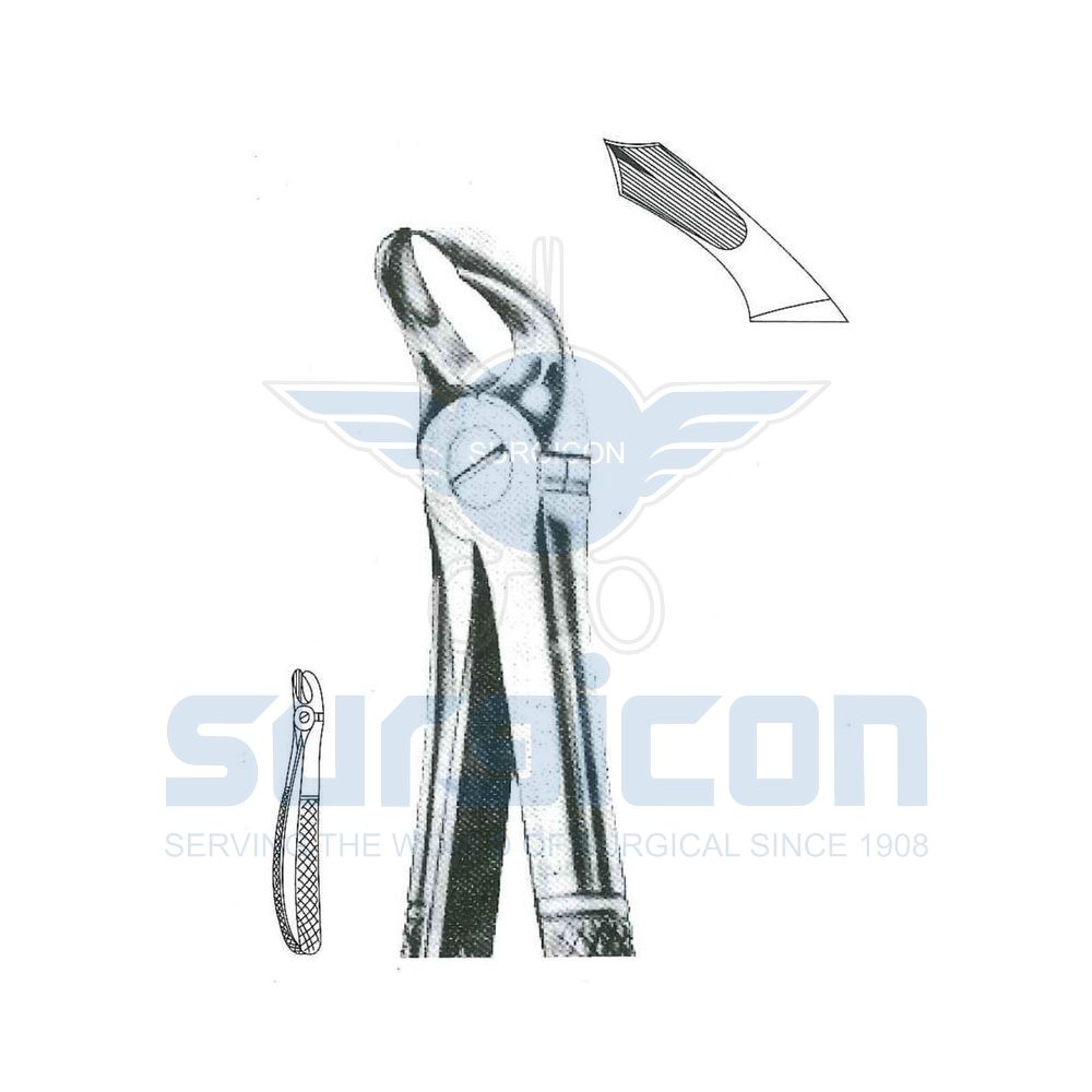 English-Pattern-Extraction-Forcep-SD-0226-32