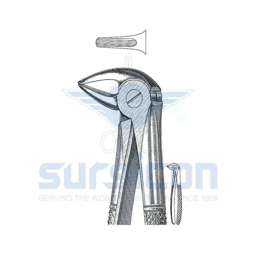 English-Pattern-Extraction-Forcep-SD-0227-33