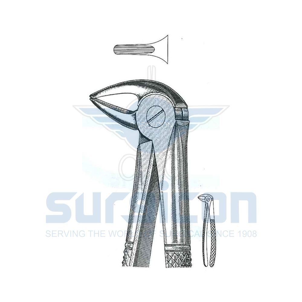 English-Pattern-Extraction-Forcep-SD-0228-33A