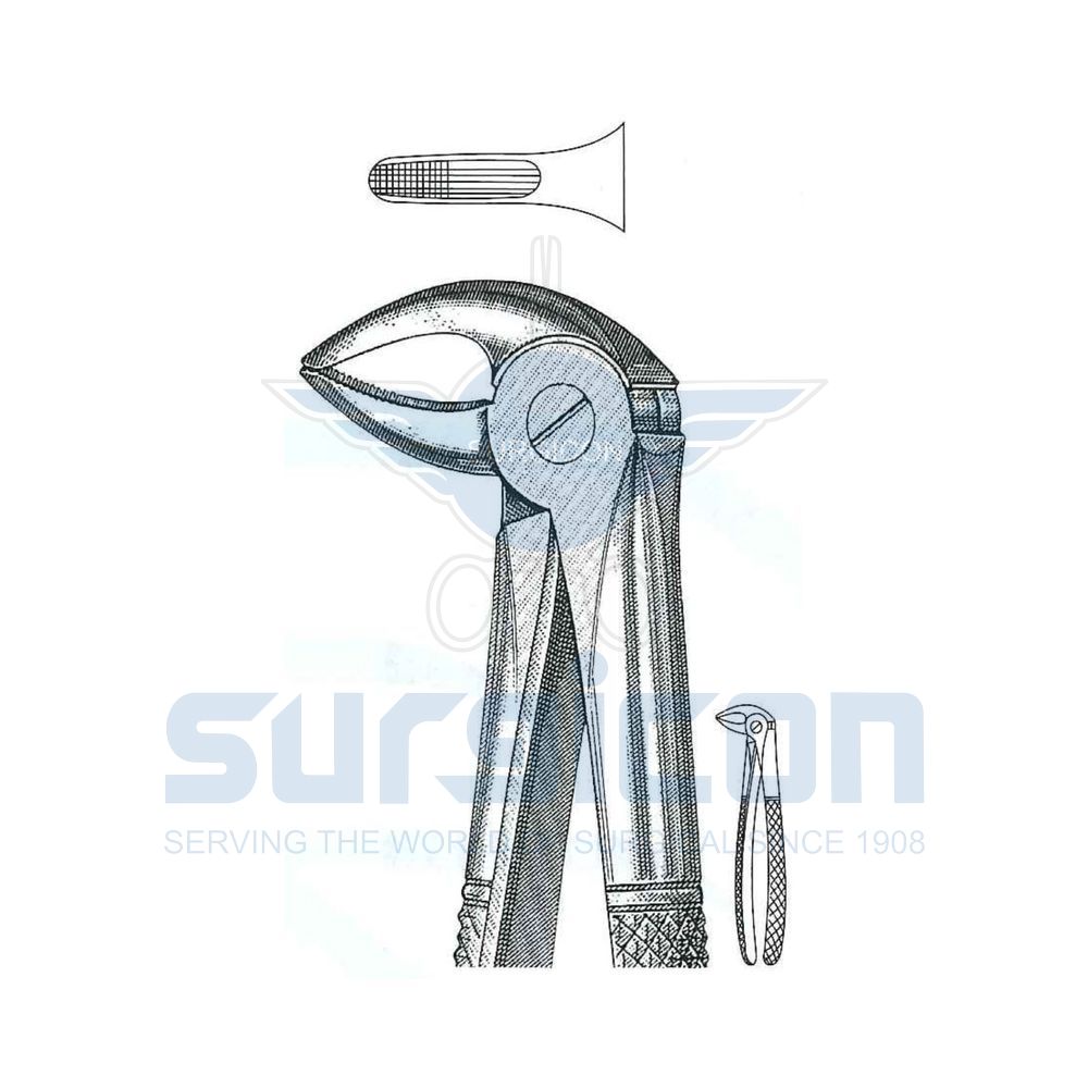 English-Pattern-Extraction-Forcep-SD-0229-33C