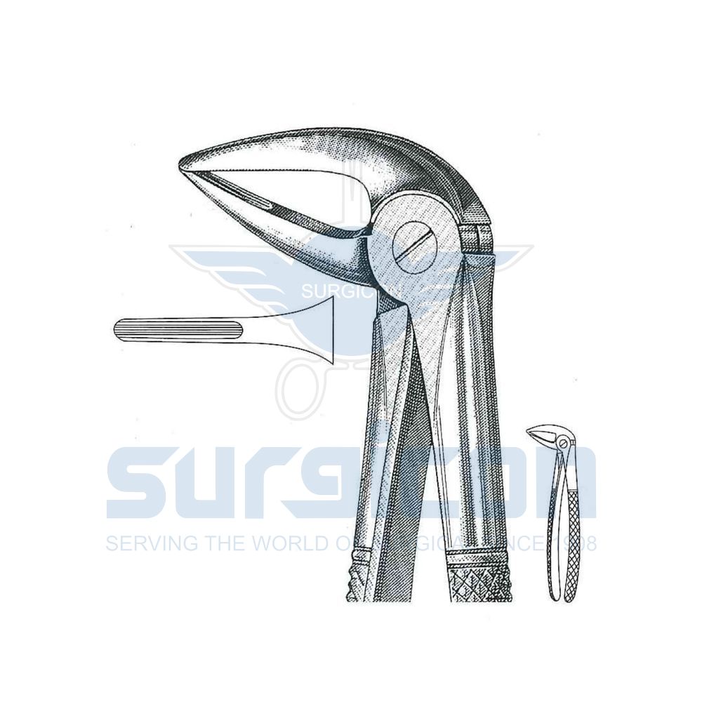 English-Pattern-Extraction-Forcep-SD-0230-33M