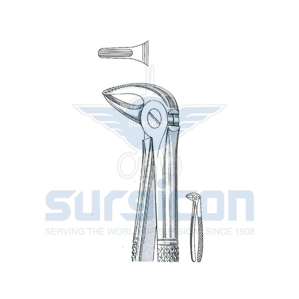 English-Pattern-Extraction-Forcep-SD-0231-33S