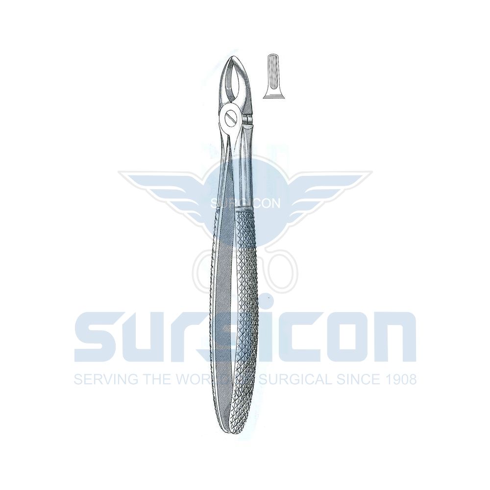English-Pattern-Extraction-Forcep-SD-0232-37