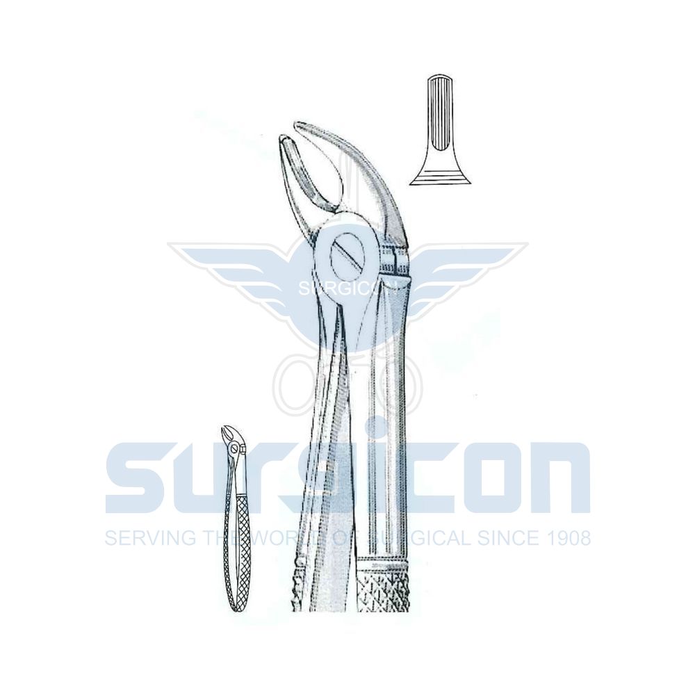 English-Pattern-Extraction-Forcep-SD-0233-38S