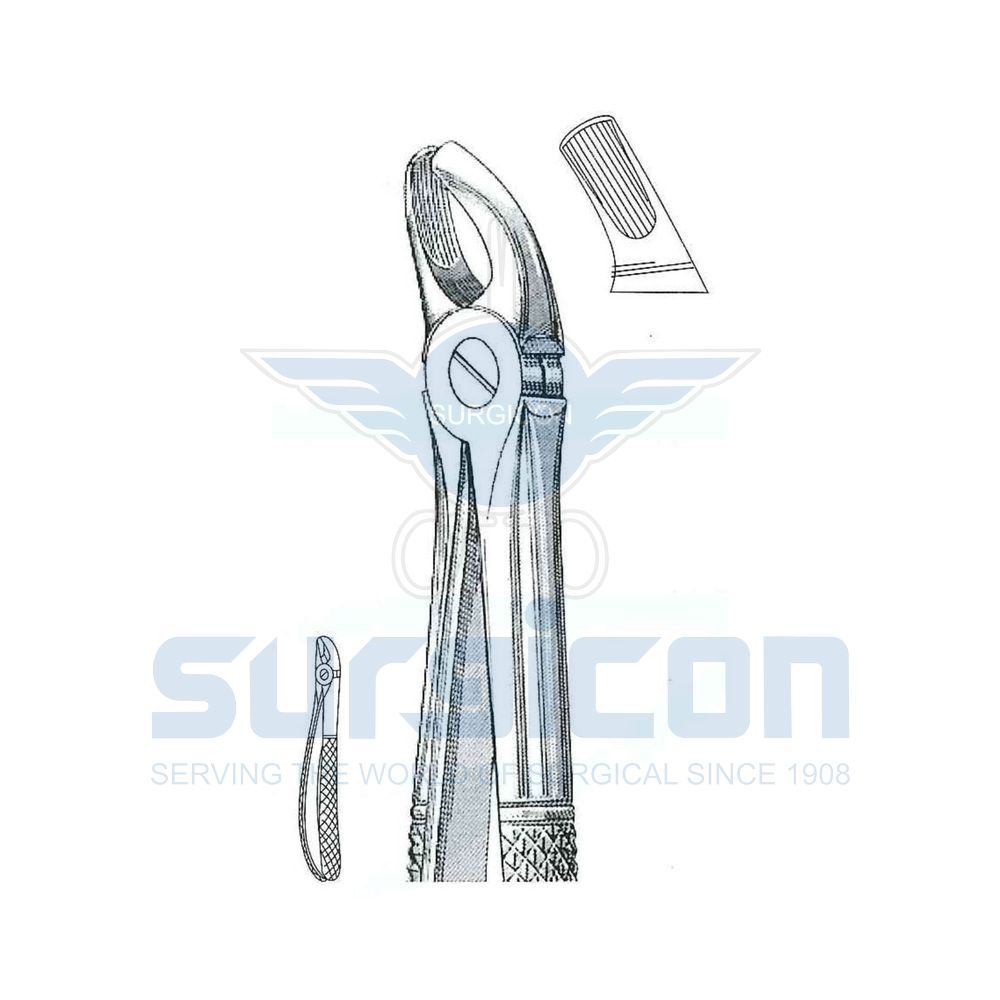 English-Pattern-Extraction-Forcep-SD-0234-39
