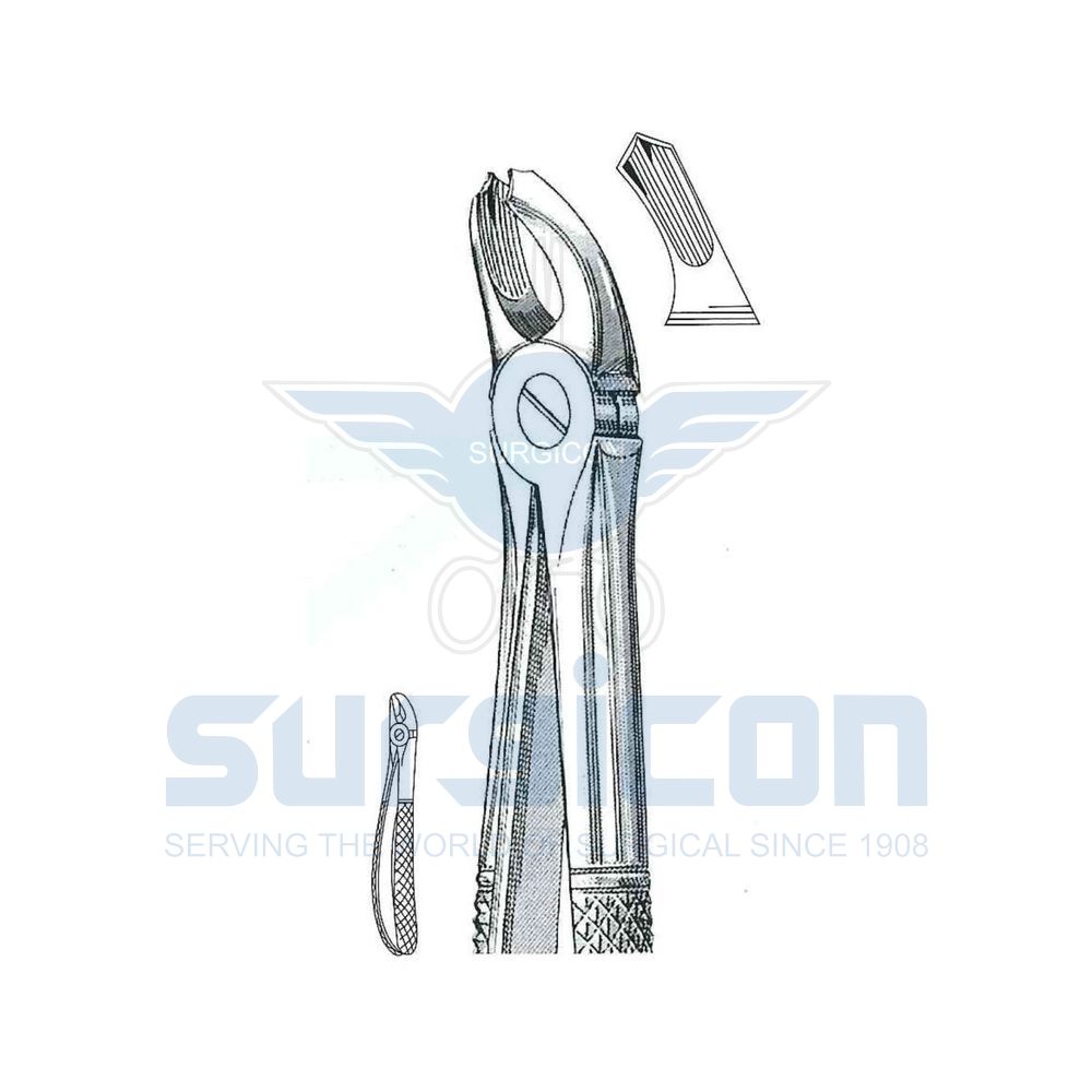 English-Pattern-Extraction-Forcep-SD-0235-39A