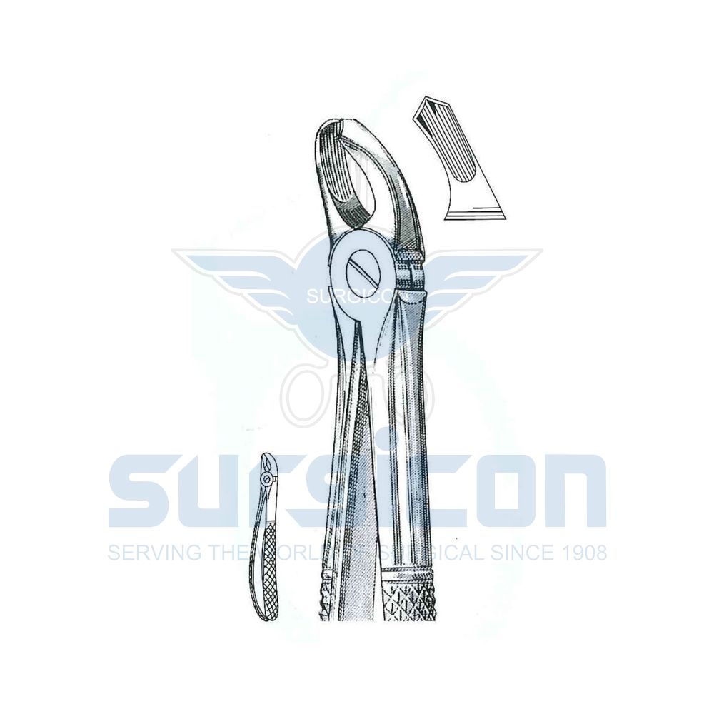 English-Pattern-Extraction-Forcep-SD-0236-39L