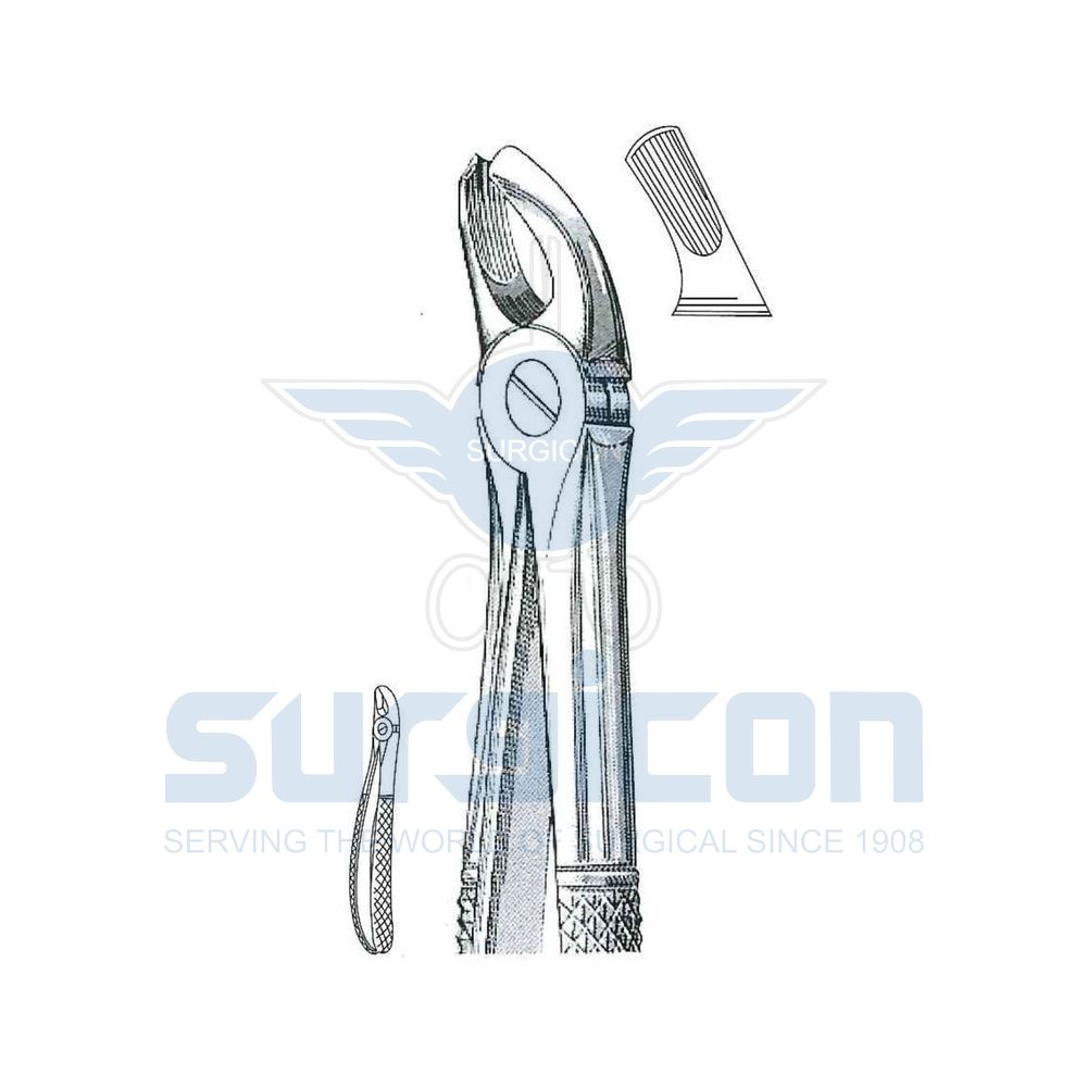 English-Pattern-Extraction-Forcep-SD-0237-39R
