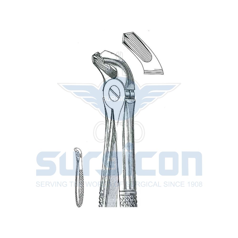 English-Pattern-Extraction-Forcep-SD-0238-40