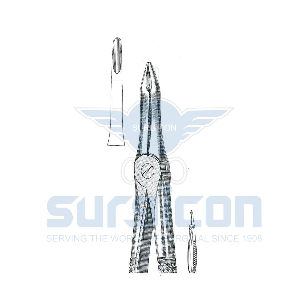 English-Pattern-Extraction-Forcep-SD-0239-41