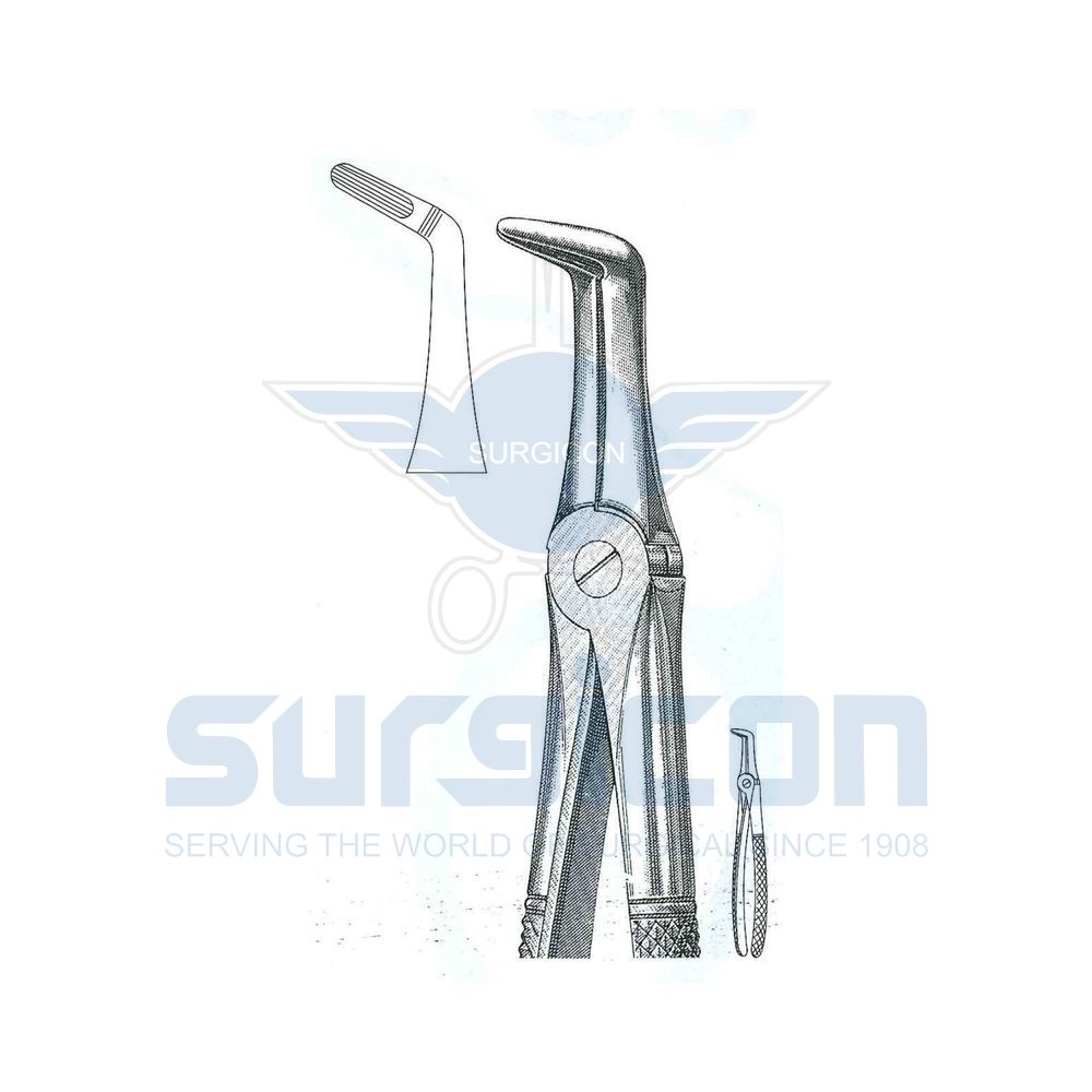 English-Pattern-Extraction-Forcep-SD-0241-45
