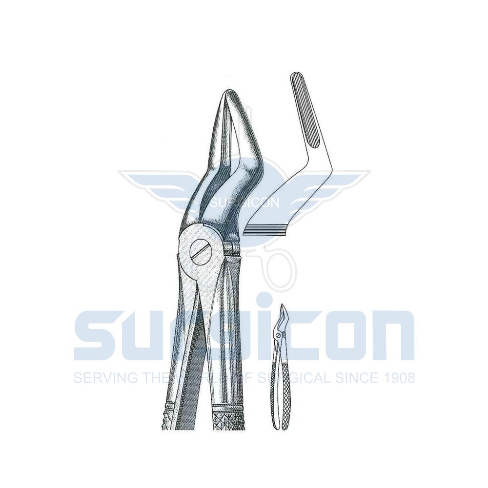 English-Pattern-Extraction-Forcep-SD-0242-51