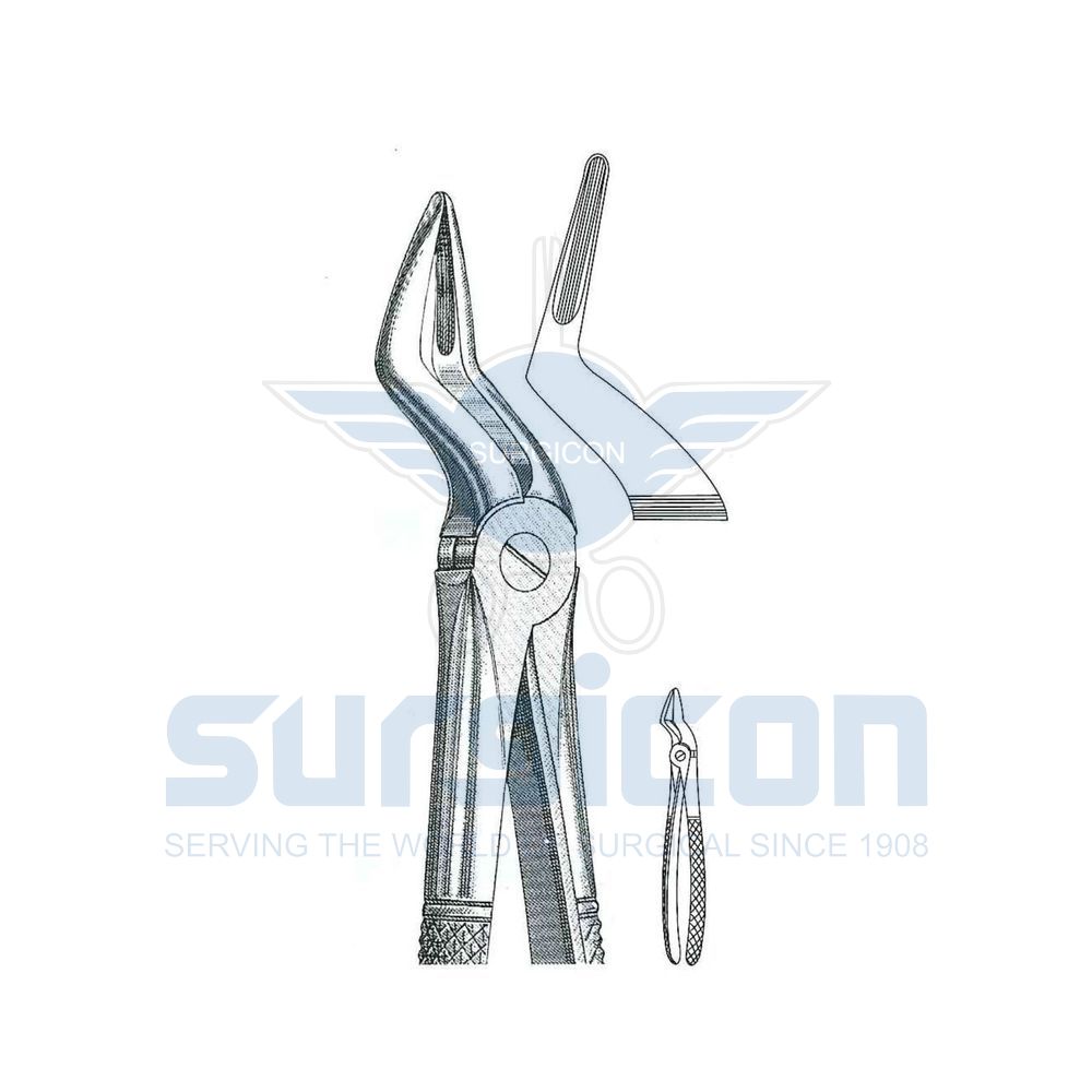 English-Pattern-Extraction-Forcep-SD-0243-51A
