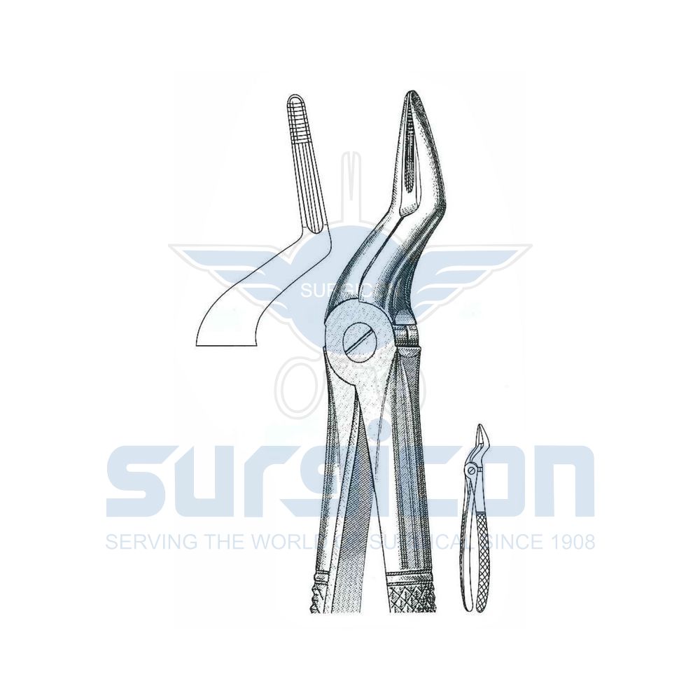English-Pattern-Extraction-Forcep-SD-0244-51C