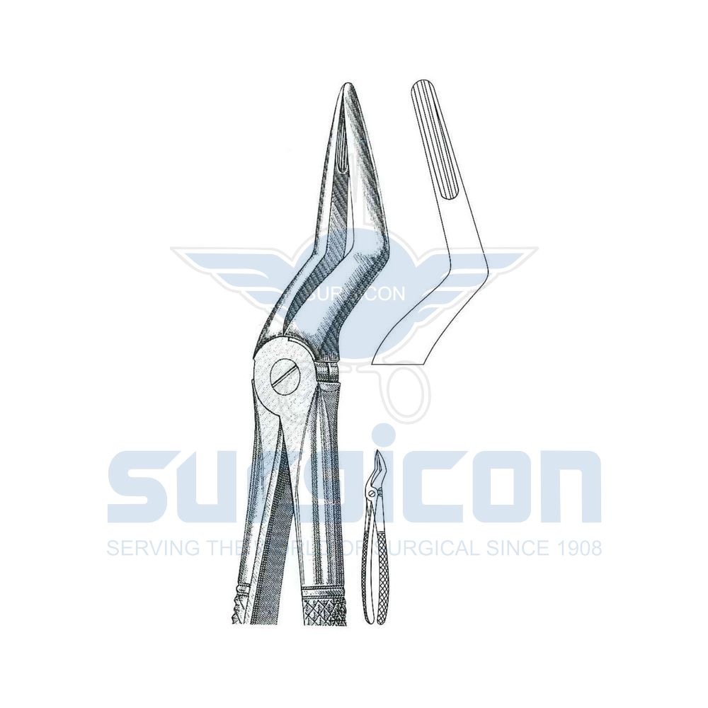 English-Pattern-Extraction-Forcep-SD-0245-51L