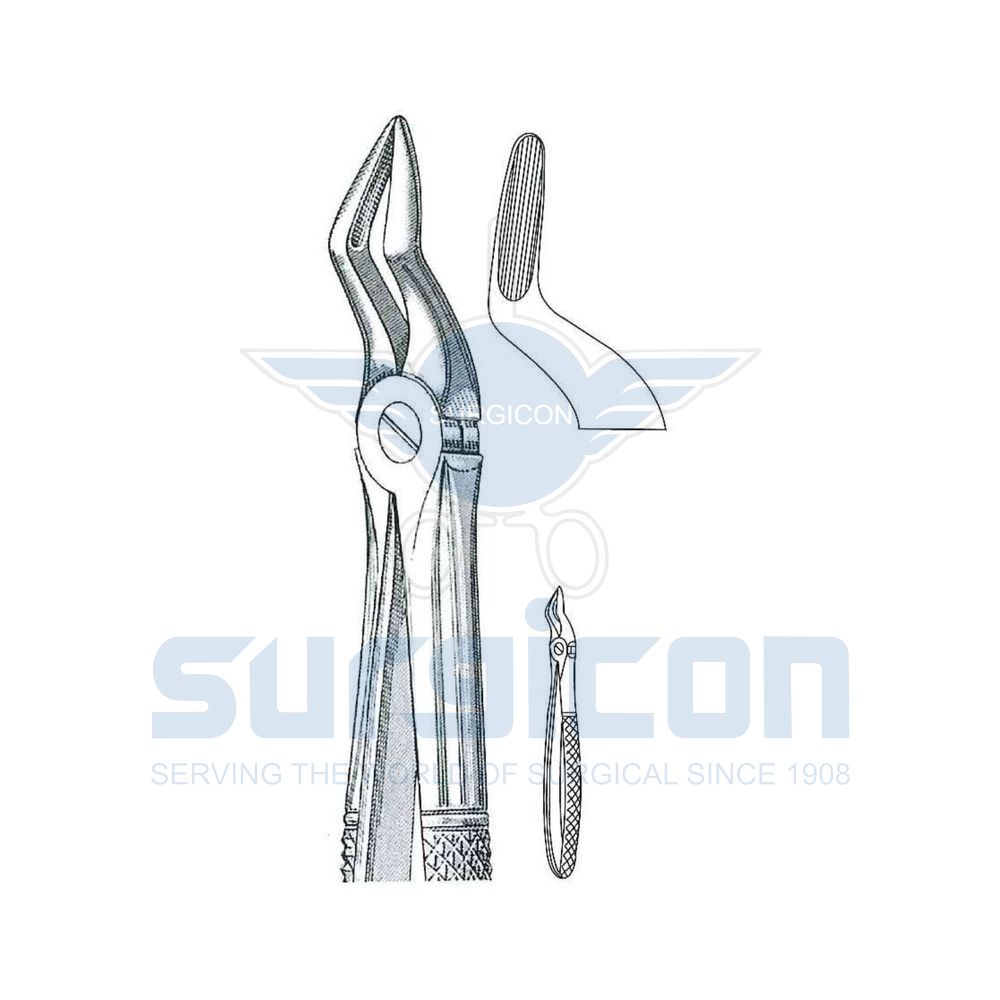 English-Pattern-Extraction-Forcep-SD-0246-51S