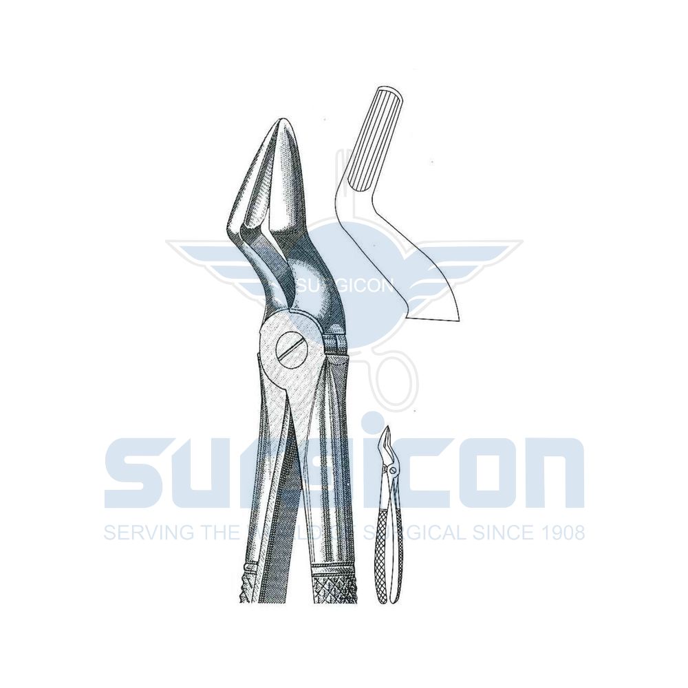 English-Pattern-Extraction-Forcep-SD-0247-52