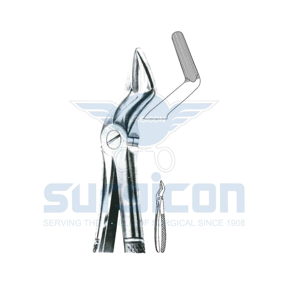 English-Pattern-Extraction-Forcep-SD-0248-52A